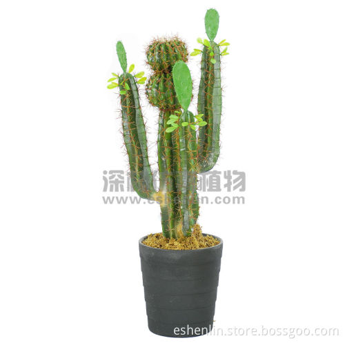 Wholesales artificial cactus